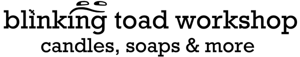 blinking toad workshop